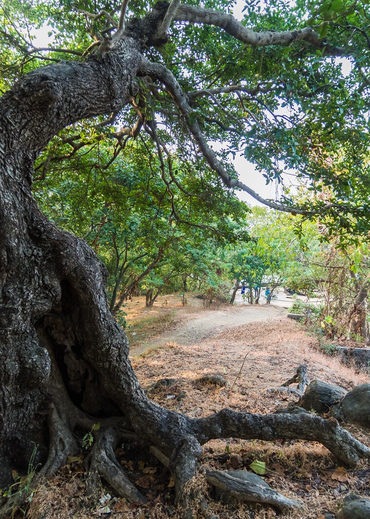 India 2014 - Mumbai 030.jpg